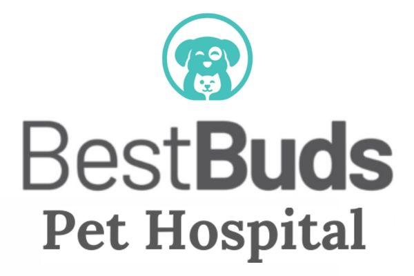 Best Buds Pet Hospital - Paldi